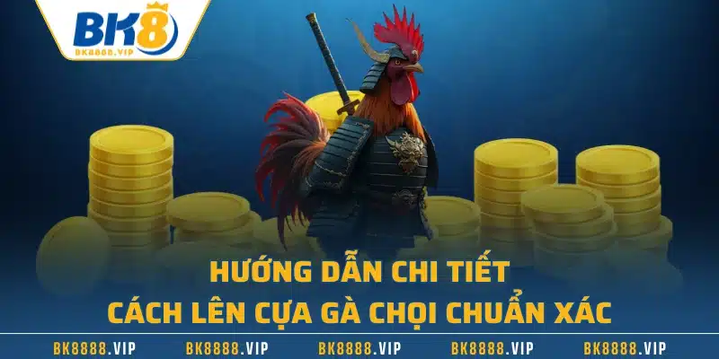 Hướng Dẫn Cách Lên Cựa Gà Chọi - Tăng Tỷ Lệ Chiến Thắng 1 Hướng dẫn chi tiết cách lên cựa gà chọi chuẩn xác