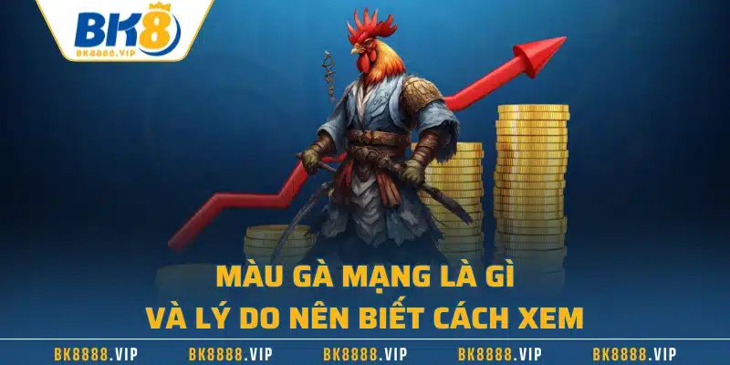 Màu Gà Mạng - Bí Quyết Chọn Chiến Kê Chắc Thắng Bạn Cần Biết 1 Màu gà mạng là gì và lý do nên biết cách xem