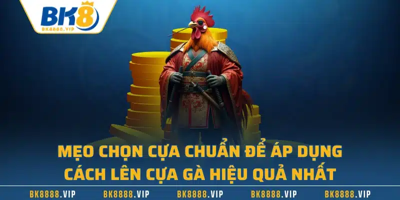 Hướng Dẫn Cách Lên Cựa Gà Chọi - Tăng Tỷ Lệ Chiến Thắng 2 Mẹo chọn cựa chuẩn để áp dụng cách lên cựa gà hiệu quả nhất