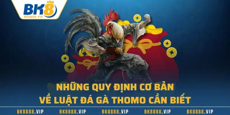 Đá Gà Thomo Và Những Quy Định Cơ Bản Mà Bạn Cần Biết 2 Những quy định cơ bản về luật đá gà Thomo cần biết