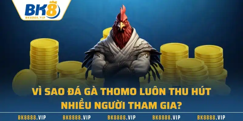 Đá Gà Thomo Và Những Quy Định Cơ Bản Mà Bạn Cần Biết 1 Vì sao đá gà Thomo luôn thu hút nhiều người tham gia?