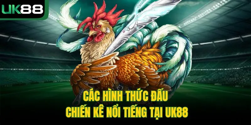 Các hình thức đấu chiến kê nổi tiếng tại UK88