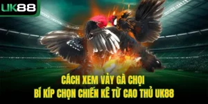 Cách Xem Vảy Gà Chọi | Bí Kíp Chọn Chiến Kê Từ Cao Thủ UK88