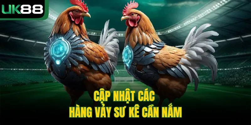 Cách Xem Vảy Gà Chọi | Bí Kíp Chọn Chiến Kê Từ Cao Thủ UK88