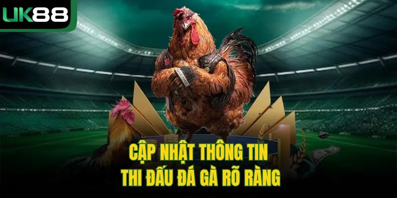 Cập nhật thông tin thi đấu đá gà rõ ràng