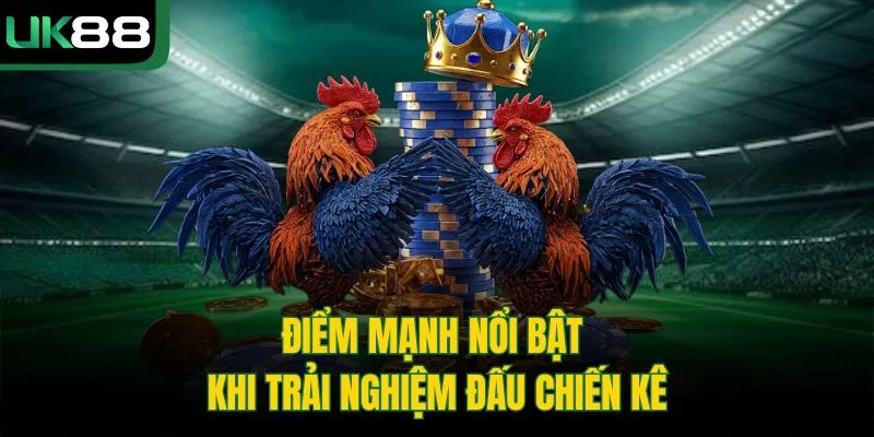 Điểm mạnh nổi bật khi trải nghiệm đấu chiến kê
