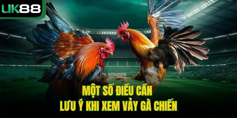 Cách Xem Vảy Gà Chọi | Bí Kíp Chọn Chiến Kê Từ Cao Thủ UK88