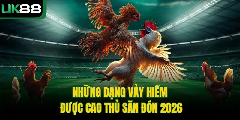 Cách Xem Vảy Gà Chọi | Bí Kíp Chọn Chiến Kê Từ Cao Thủ UK88