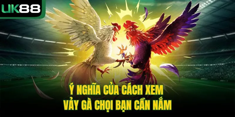 Cách Xem Vảy Gà Chọi | Bí Kíp Chọn Chiến Kê Từ Cao Thủ UK88